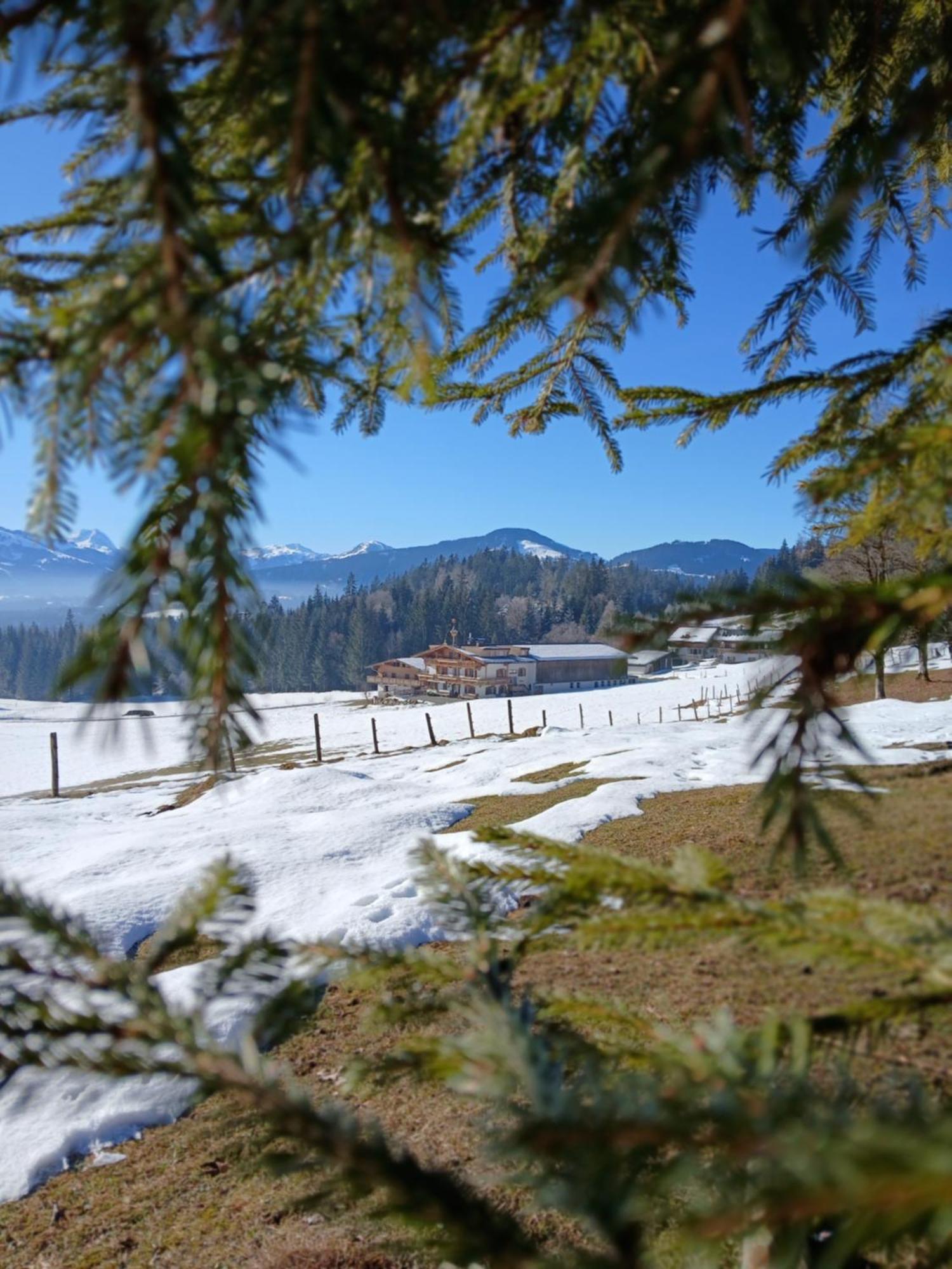 Ferienwohnung Maurerhof Sankt Johann in Tirol Luaran gambar