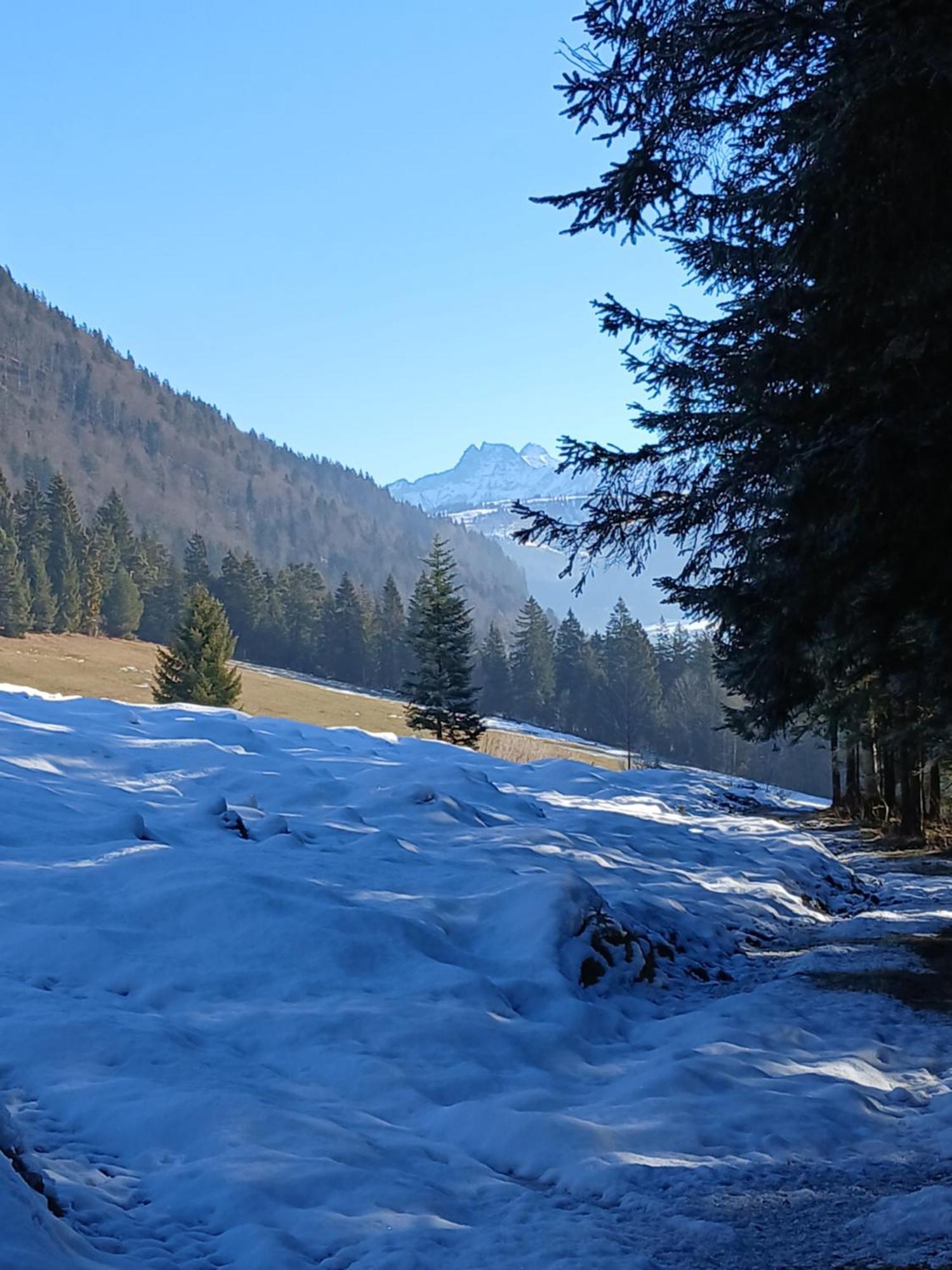 Ferienwohnung Maurerhof Sankt Johann in Tirol Luaran gambar